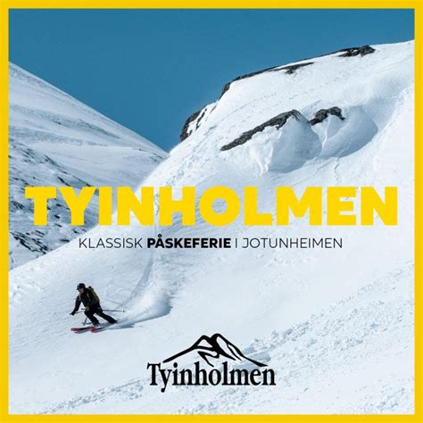 tyinholmen webkamera|Webcam